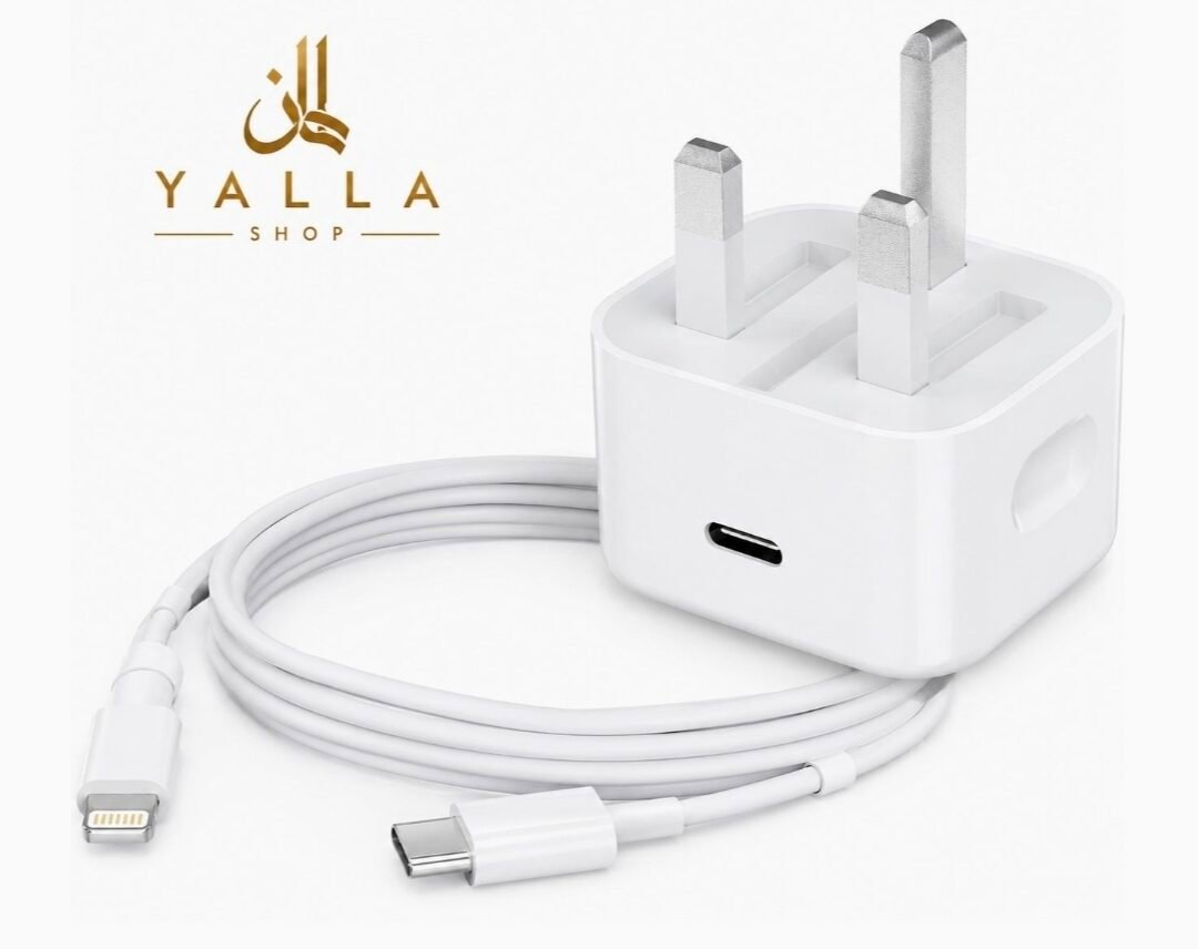 Fast Charger (5)